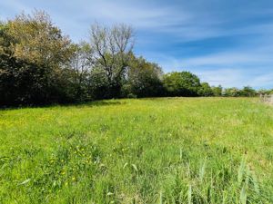 Photo 28- click for photo gallery